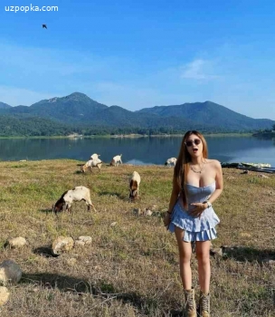 Дилан